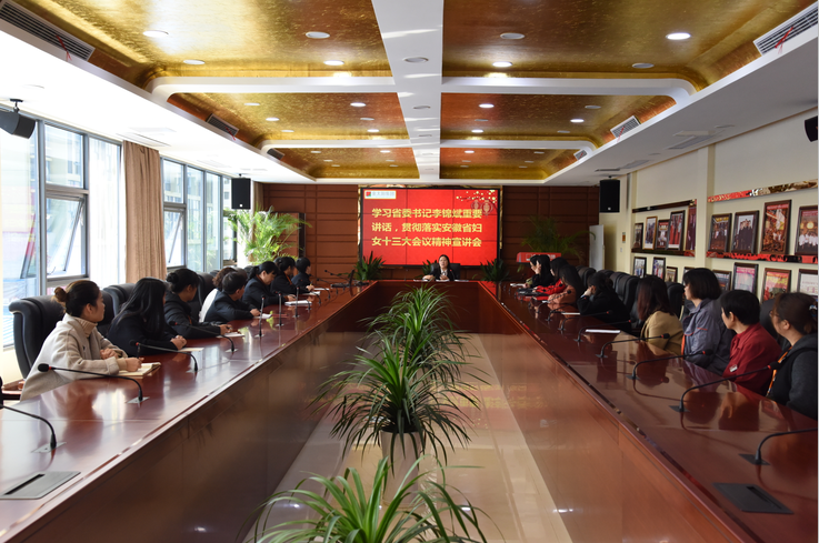 bc贷集团举办安徽省妇女十三大精神宣讲会